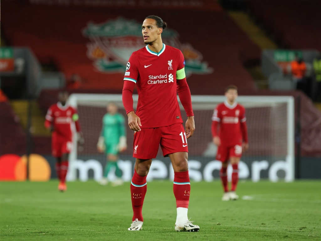 新赞助商的 新赞助商的